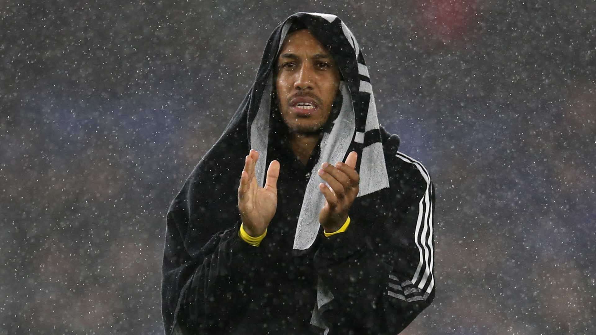 或许能成为 或许能成为